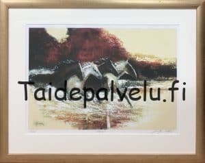 Matti Järvenpää Vapaus