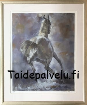 Chingiz Abassov Hevonen