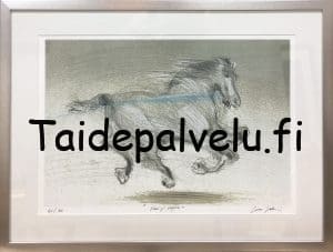 Olli Joki Villi ja vapaa